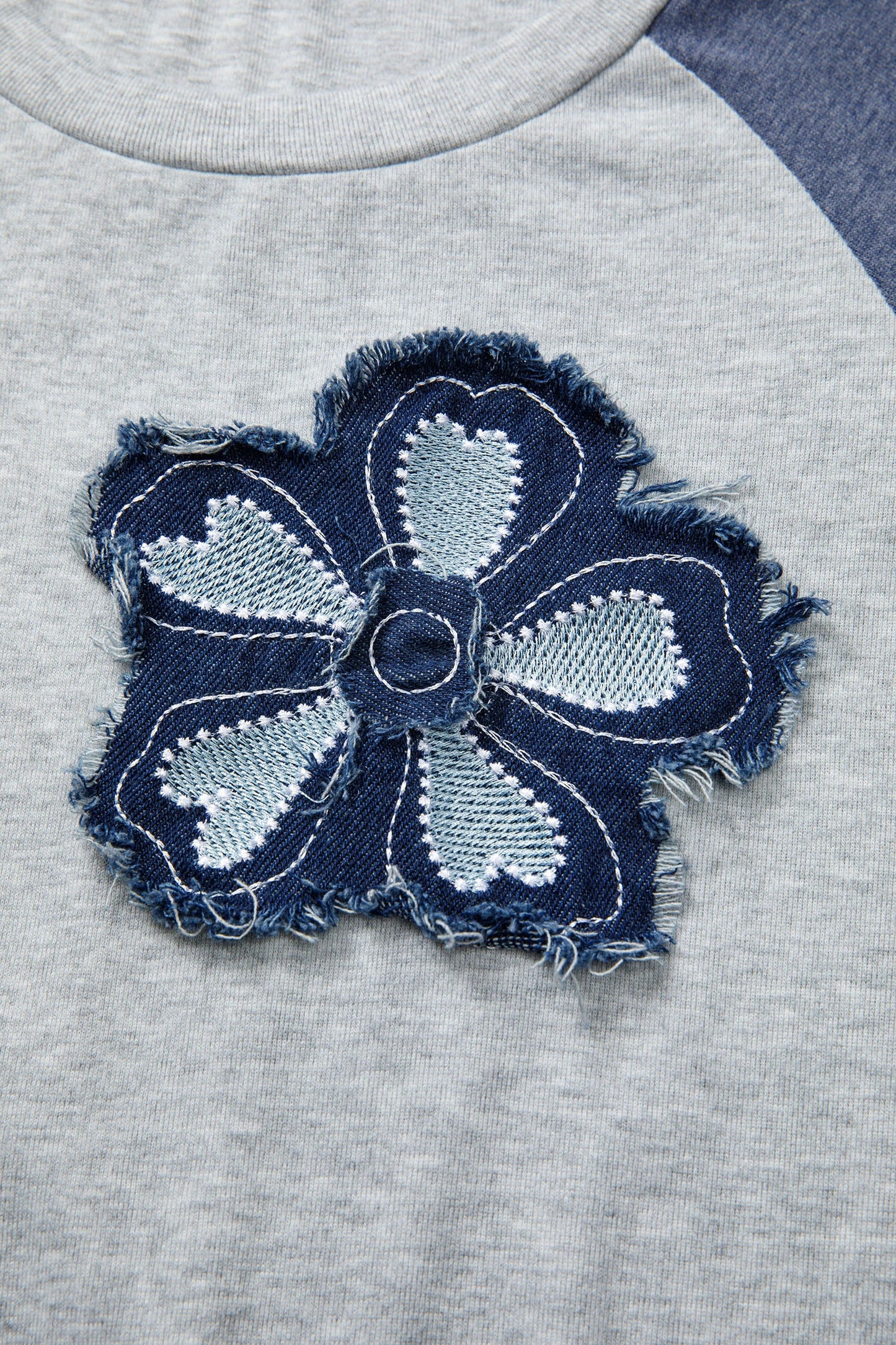 Dark Blue Color Block Flower Embroidered Patch Graphic Raglan Long Sleeve Top