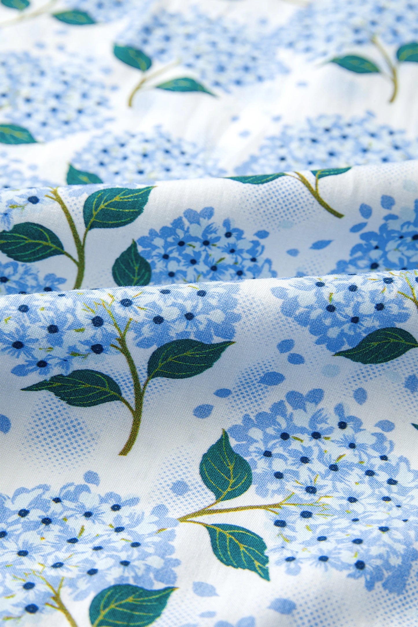 Sky Blue Hydrangea Floral Print Ruffle Trim Flutter Sleeve Long Dress