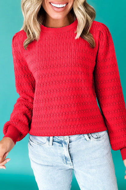 Trendy Pattern Knit Ribbed Cuffs Crew Neck Sweater