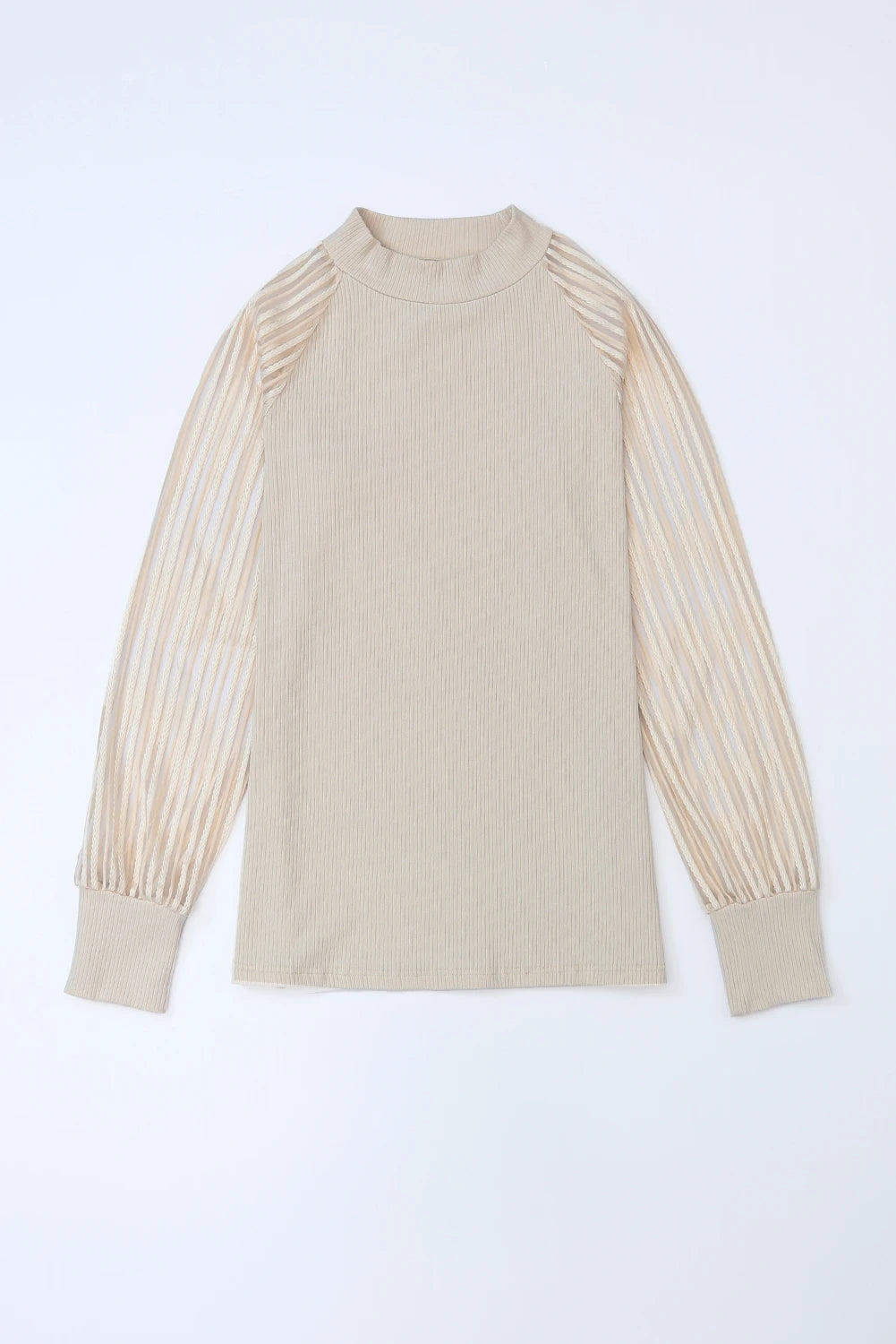 Striped Mesh Long Sleeve Crewneck Ribbed Top