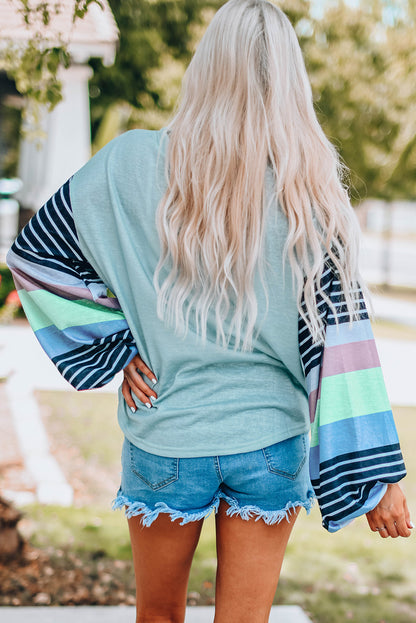 Sky Blue Striped Colorblock Long Sleeve Knit Top